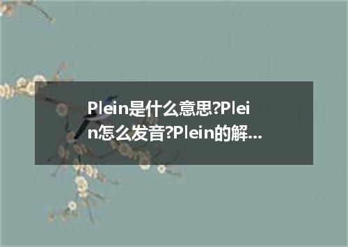 Plein是什么意思?Plein怎么发音?Plein的解释和用法