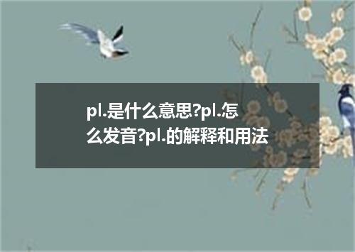 pl.是什么意思?pl.怎么发音?pl.的解释和用法