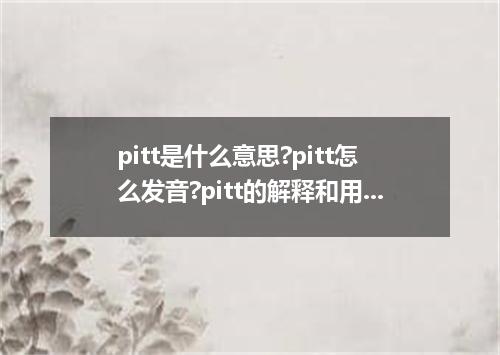 pitt是什么意思?pitt怎么发音?pitt的解释和用法