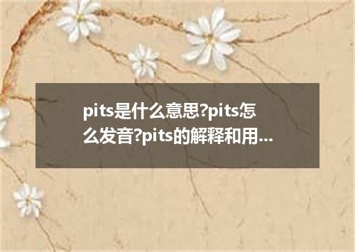 pits是什么意思?pits怎么发音?pits的解释和用法