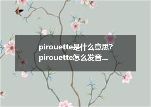 pirouette是什么意思?pirouette怎么发音?pirouette的解释和用法