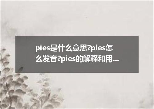 pies是什么意思?pies怎么发音?pies的解释和用法