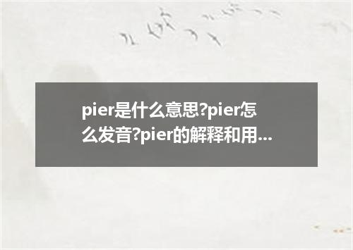 pier是什么意思?pier怎么发音?pier的解释和用法