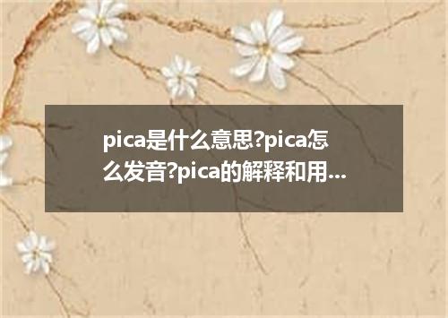 pica是什么意思?pica怎么发音?pica的解释和用法
