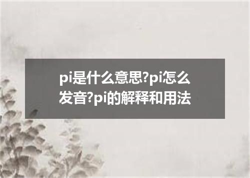 pi是什么意思?pi怎么发音?pi的解释和用法