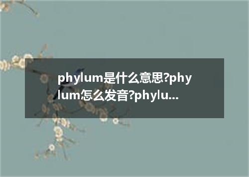 phylum是什么意思?phylum怎么发音?phylum的解释和用法