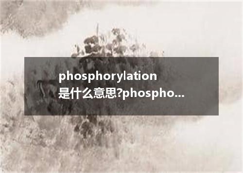 phosphorylation是什么意思?phosphorylation怎么发音?phosphorylation的解释和用法