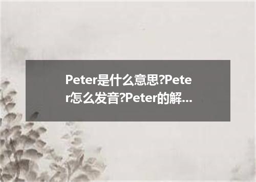 Peter是什么意思?Peter怎么发音?Peter的解释和用法