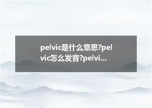 pelvic是什么意思?pelvic怎么发音?pelvic的解释和用法