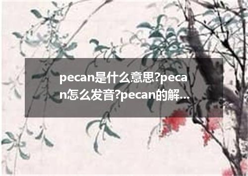 pecan是什么意思?pecan怎么发音?pecan的解释和用法