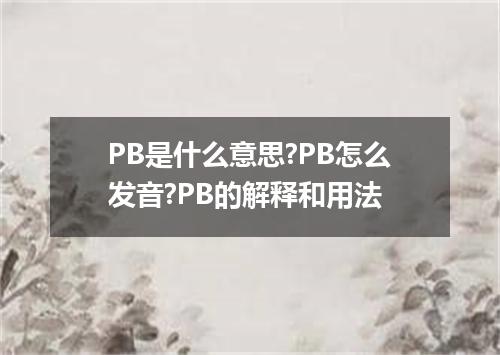 PB是什么意思?PB怎么发音?PB的解释和用法