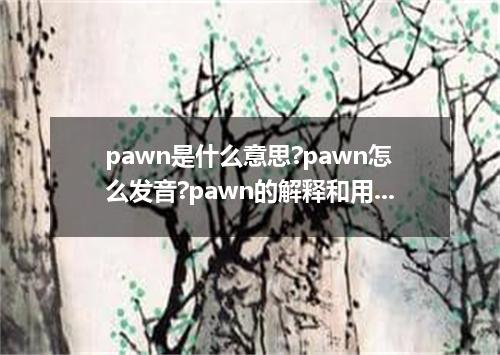 pawn是什么意思?pawn怎么发音?pawn的解释和用法