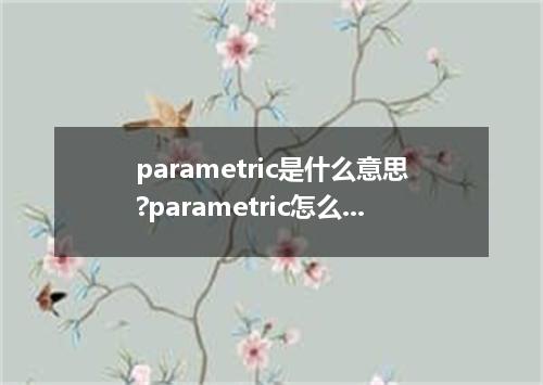 parametric是什么意思?parametric怎么发音?parametric的解释和用法
