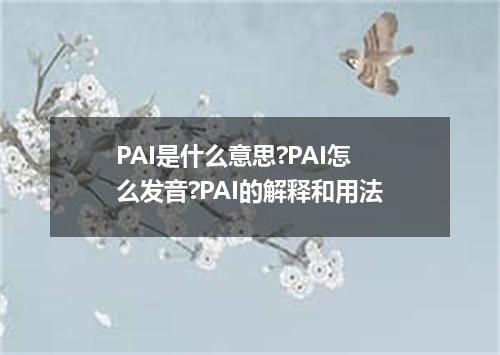 PAI是什么意思?PAI怎么发音?PAI的解释和用法