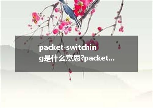 packet-switching是什么意思?packet-switching怎么发音?packet-switching的解释和用法