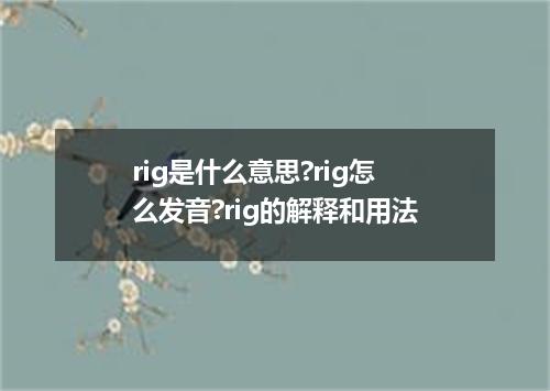 rig是什么意思?rig怎么发音?rig的解释和用法