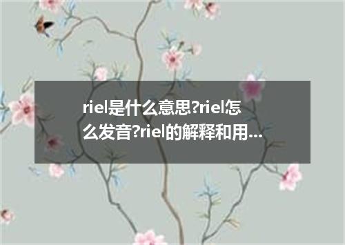 riel是什么意思?riel怎么发音?riel的解释和用法