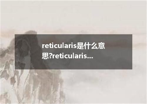 reticularis是什么意思?reticularis怎么发音?reticularis的解释和用法