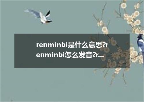 renminbi是什么意思?renminbi怎么发音?renminbi的解释和用法