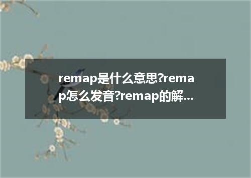 remap是什么意思?remap怎么发音?remap的解释和用法