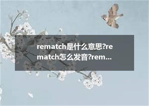 rematch是什么意思?rematch怎么发音?rematch的解释和用法