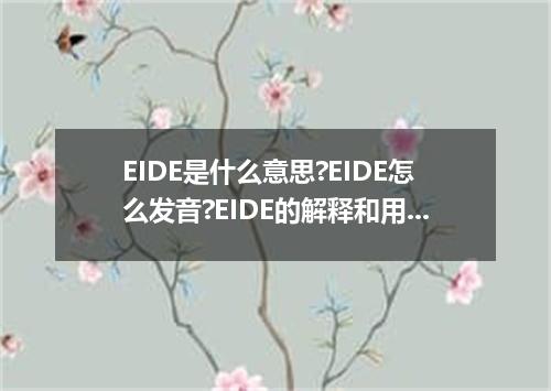 EIDE是什么意思?EIDE怎么发音?EIDE的解释和用法