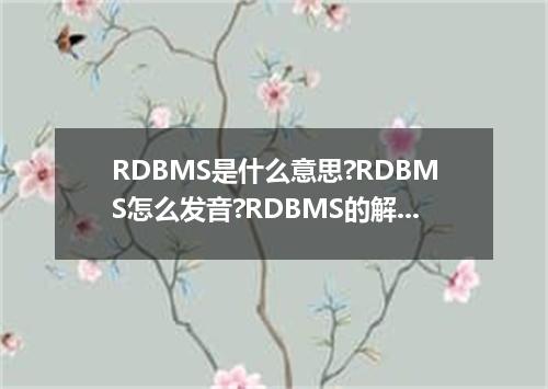 RDBMS是什么意思?RDBMS怎么发音?RDBMS的解释和用法