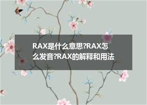 RAX是什么意思?RAX怎么发音?RAX的解释和用法