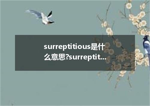 surreptitious是什么意思?surreptitious怎么发音?surreptitious的解释和用法