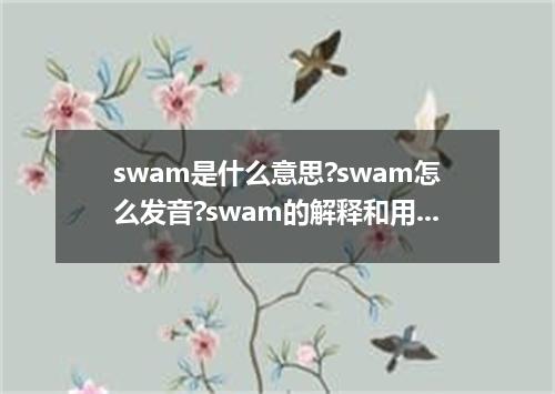 swam是什么意思?swam怎么发音?swam的解释和用法
