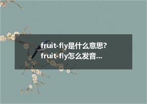 fruit-fly是什么意思?fruit-fly怎么发音?fruit-fly的解释和用法