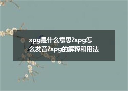 xpg是什么意思?xpg怎么发音?xpg的解释和用法