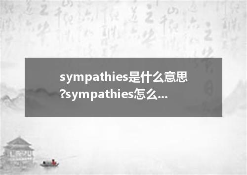 sympathies是什么意思?sympathies怎么发音?sympathies的解释和用法