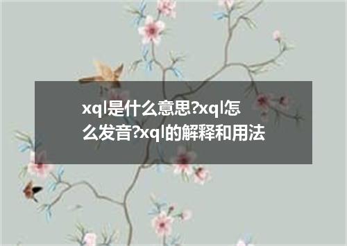 xql是什么意思?xql怎么发音?xql的解释和用法