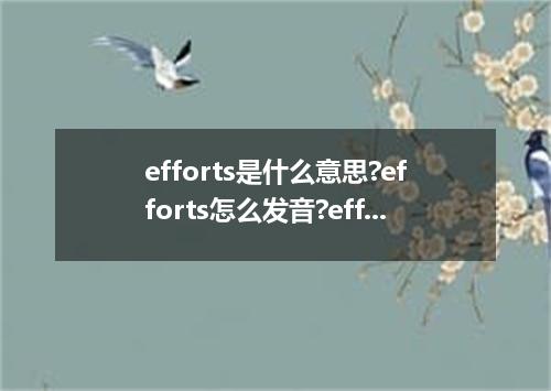 efforts是什么意思?efforts怎么发音?efforts的解释和用法