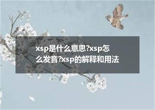 xsp是什么意思?xsp怎么发音?xsp的解释和用法