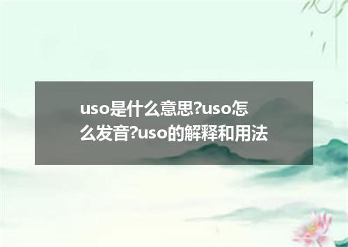 uso是什么意思?uso怎么发音?uso的解释和用法