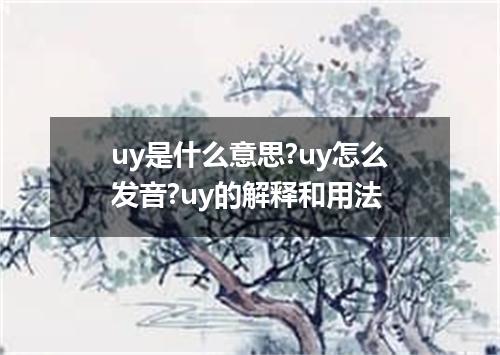 uy是什么意思?uy怎么发音?uy的解释和用法