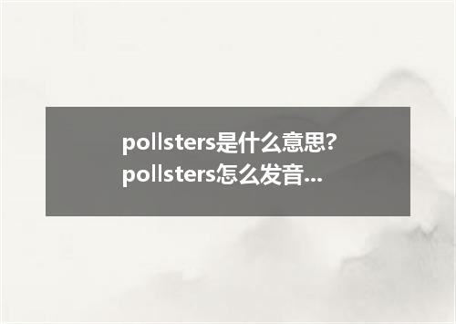 pollsters是什么意思?pollsters怎么发音?pollsters的解释和用法