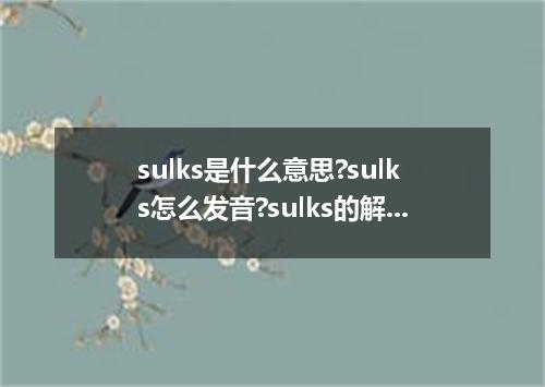 sulks是什么意思?sulks怎么发音?sulks的解释和用法
