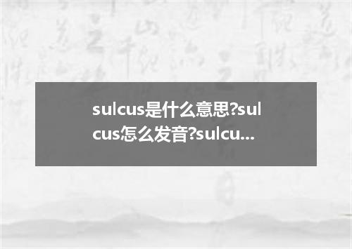 sulcus是什么意思?sulcus怎么发音?sulcus的解释和用法