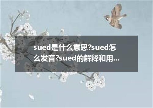 sued是什么意思?sued怎么发音?sued的解释和用法