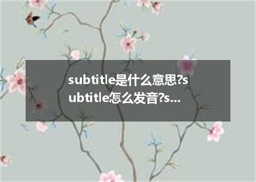 subtitle是什么意思?subtitle怎么发音?subtitle的解释和用法