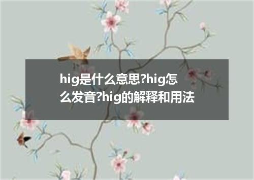 hig是什么意思?hig怎么发音?hig的解释和用法