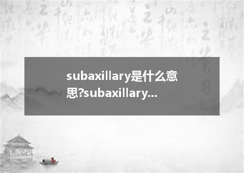 subaxillary是什么意思?subaxillary怎么发音?subaxillary的解释和用法