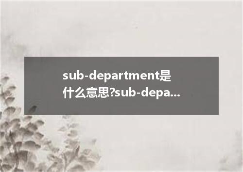 sub-department是什么意思?sub-department怎么发音?sub-department的解释和用法