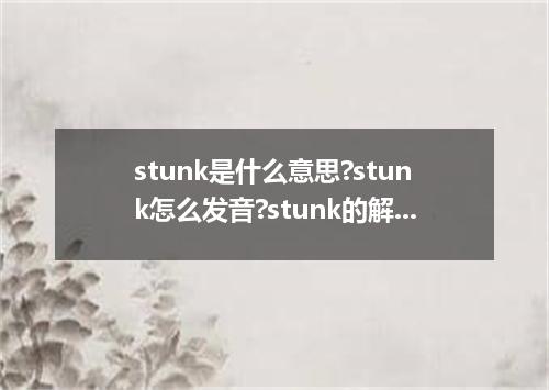 stunk是什么意思?stunk怎么发音?stunk的解释和用法