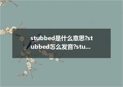 stubbed是什么意思?stubbed怎么发音?stubbed的解释和用法