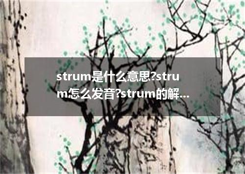 strum是什么意思?strum怎么发音?strum的解释和用法