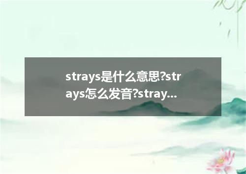 strays是什么意思?strays怎么发音?strays的解释和用法
